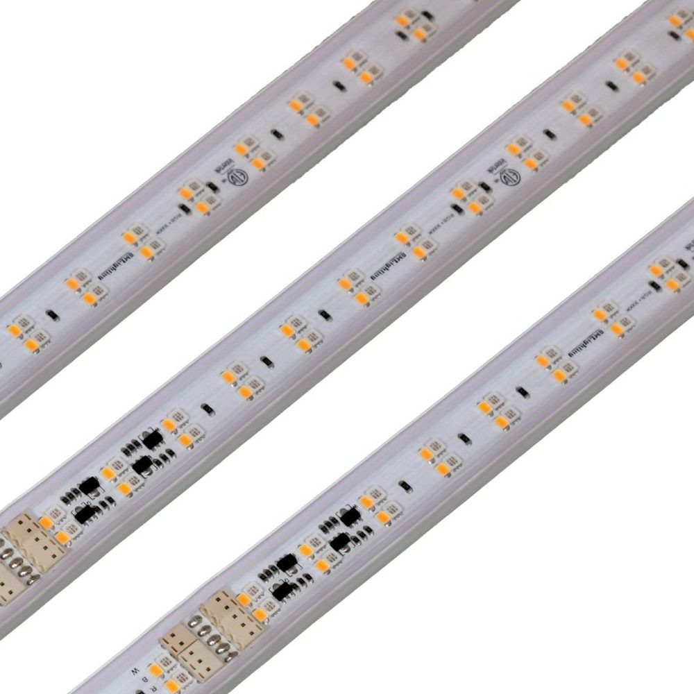 Vision120™ 120V RGBW Wet Location LED Tape