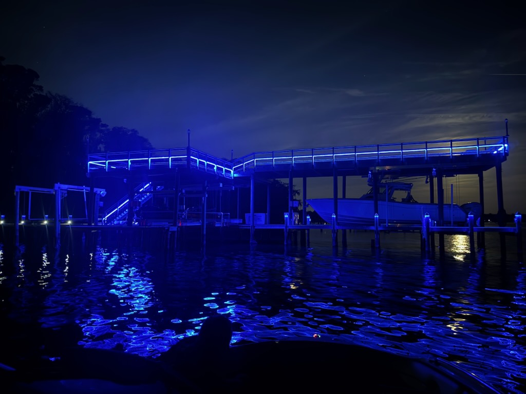 2025 2nd Place Winner – Ted Carter & Associates / City Electric Supply